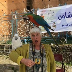 Meet your Posher, Diane